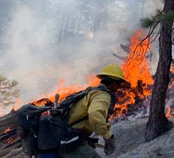 Three Firefighters at Bobcat Fire