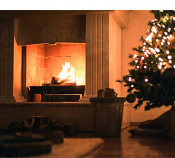 Christmas tree and burning fire place